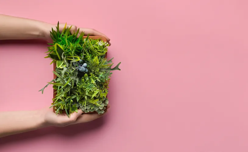 The Rise of "Plant Parenting": Connecting with Nature Through Plants