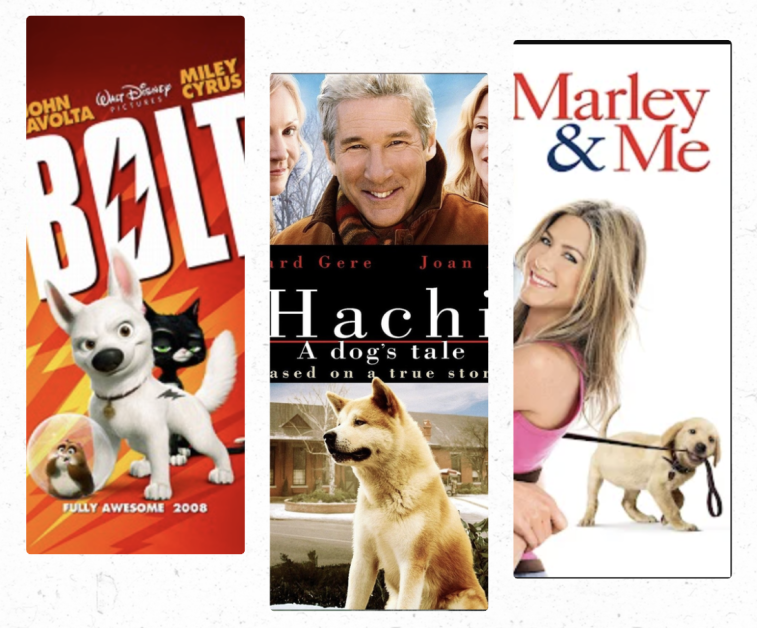 Silverscreen’s Favorite Dog Movies Ranked: From Hachiko to Marley