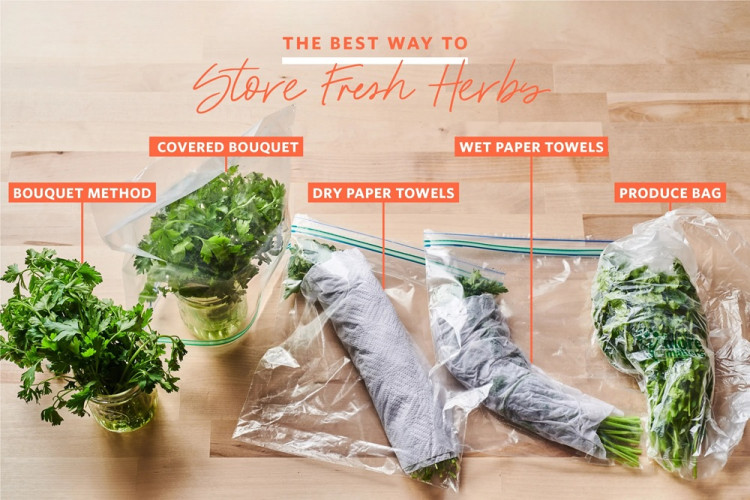 How to Store Herbs So They Last Longer 