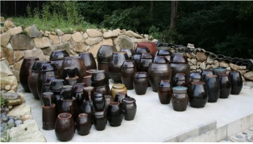 Traditional Fermented Foods and Beverages from Around the World — Timeless Flavors and Proven Health Benefits