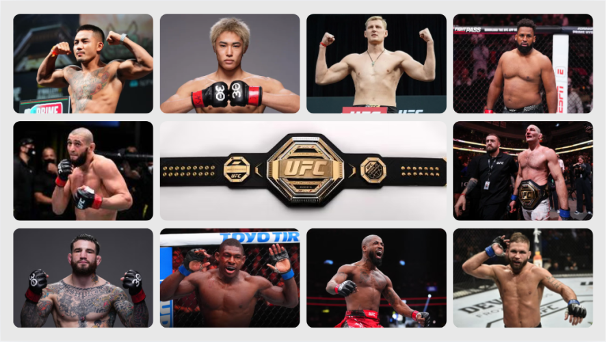 UFC 328: When Tarzan met the Wolf