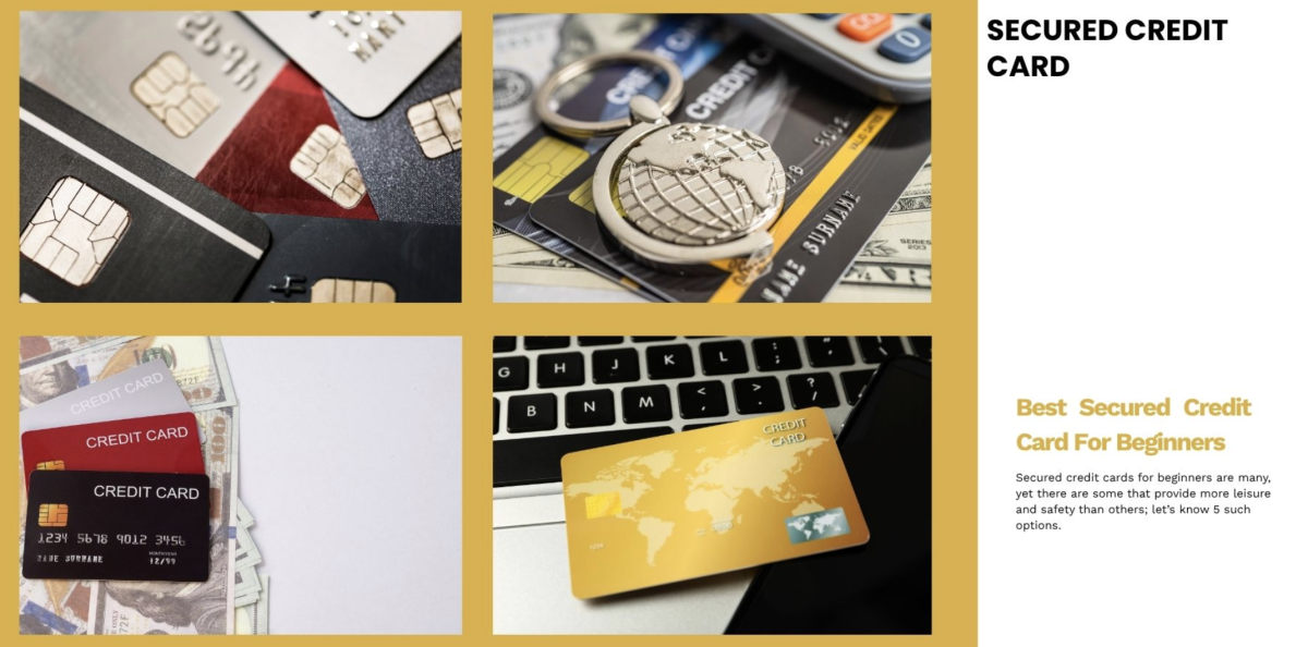 7 Best Secured Credit Cards For Beginners: From Zero to Excellent Credit 