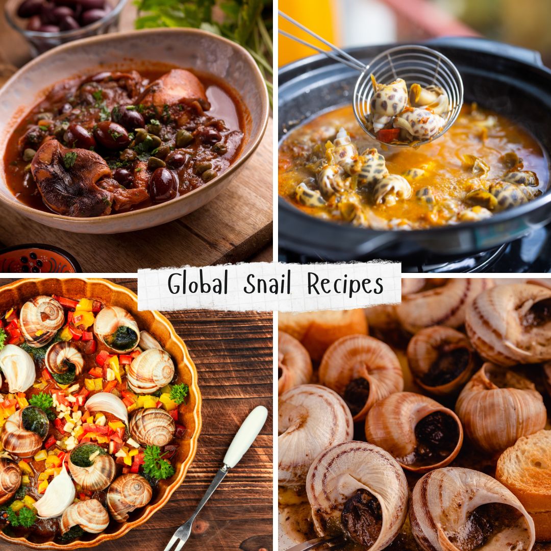 Culinary Traditions of Exotic Eats: Snail Recipes Across Cultures