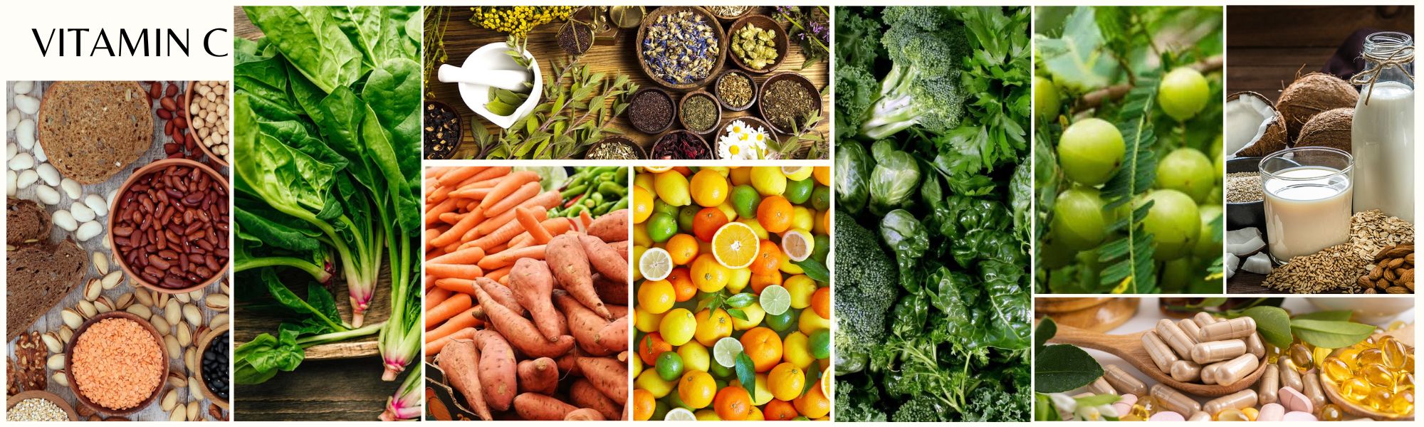 Beyond Supplements: Myths and Facts of Vitamins And Diet