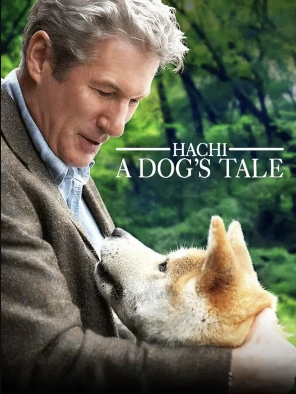 HaichiADogsTale