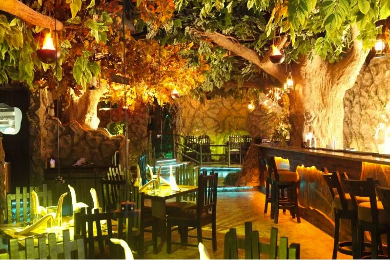 forest restaurants