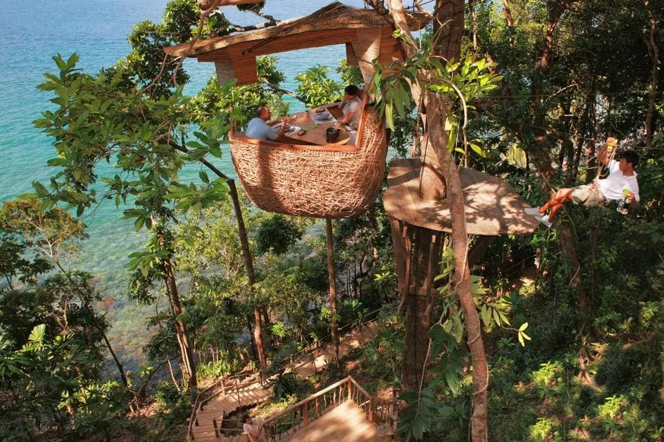 sky dining in jungle