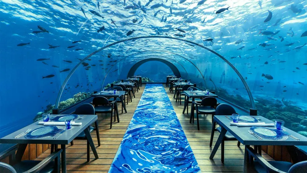 underwater dining