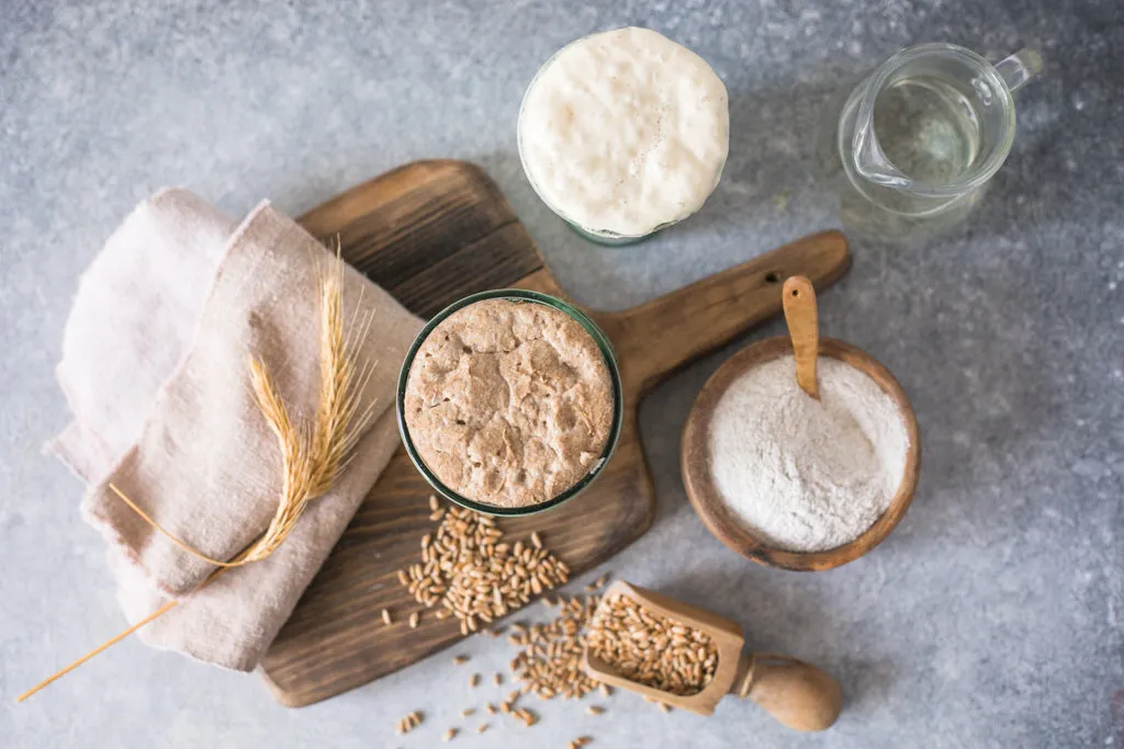 natural dough starter