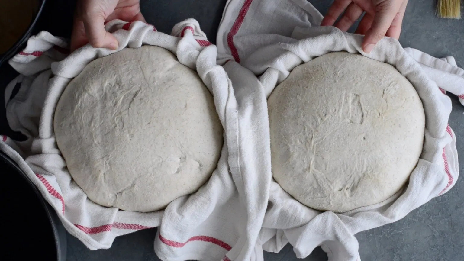 dough rising 